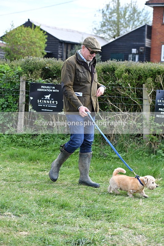 WJ5_0245 - Class 7 Best Terrier