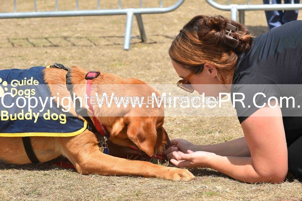 SH4_0234 - Dog show.