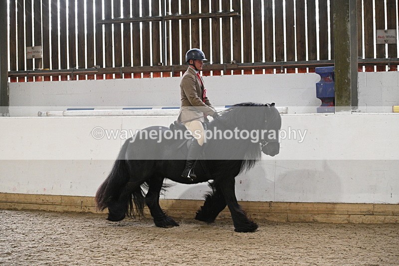 WJ7_4487 - Afternoon Champs