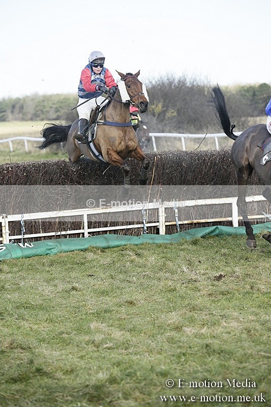 PtP 070118 -188 - Larkhill Racing Club Point to Point Larkhill 07/01/2018