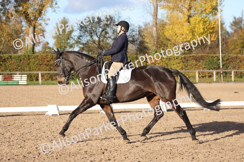 20251102-1294 - Class 9 - Advanced Medium 3