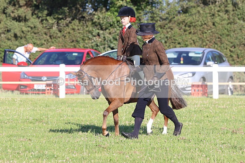 JPP_0791 - Class 16: Cornish Combination Leading Rein