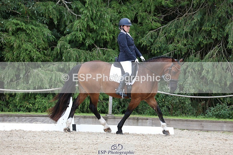 230812-142955-04436 - Cls 5 Novice Bronze 13.40 to 14.45 break