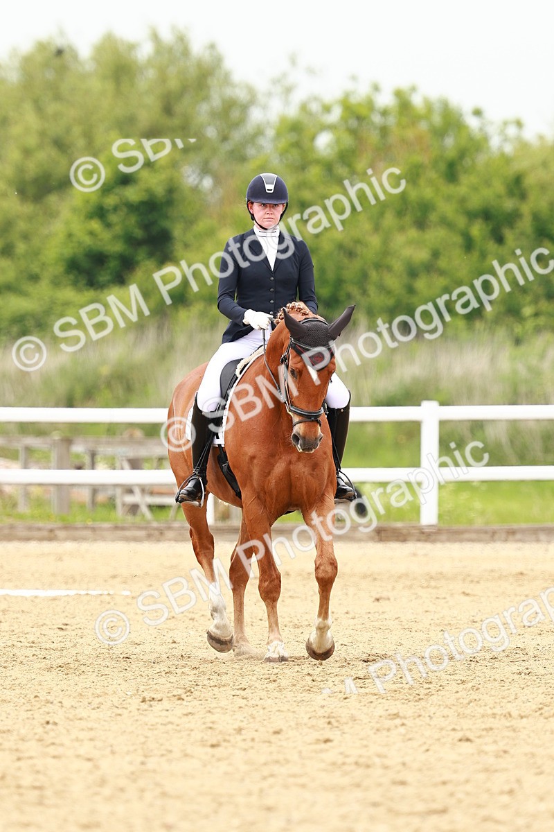 SBM_001722 - Class 7 - Novice 5