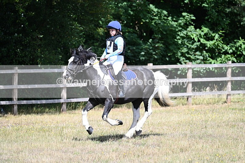 WJ7_0249 - 40cm Time 11:47 to 12:01