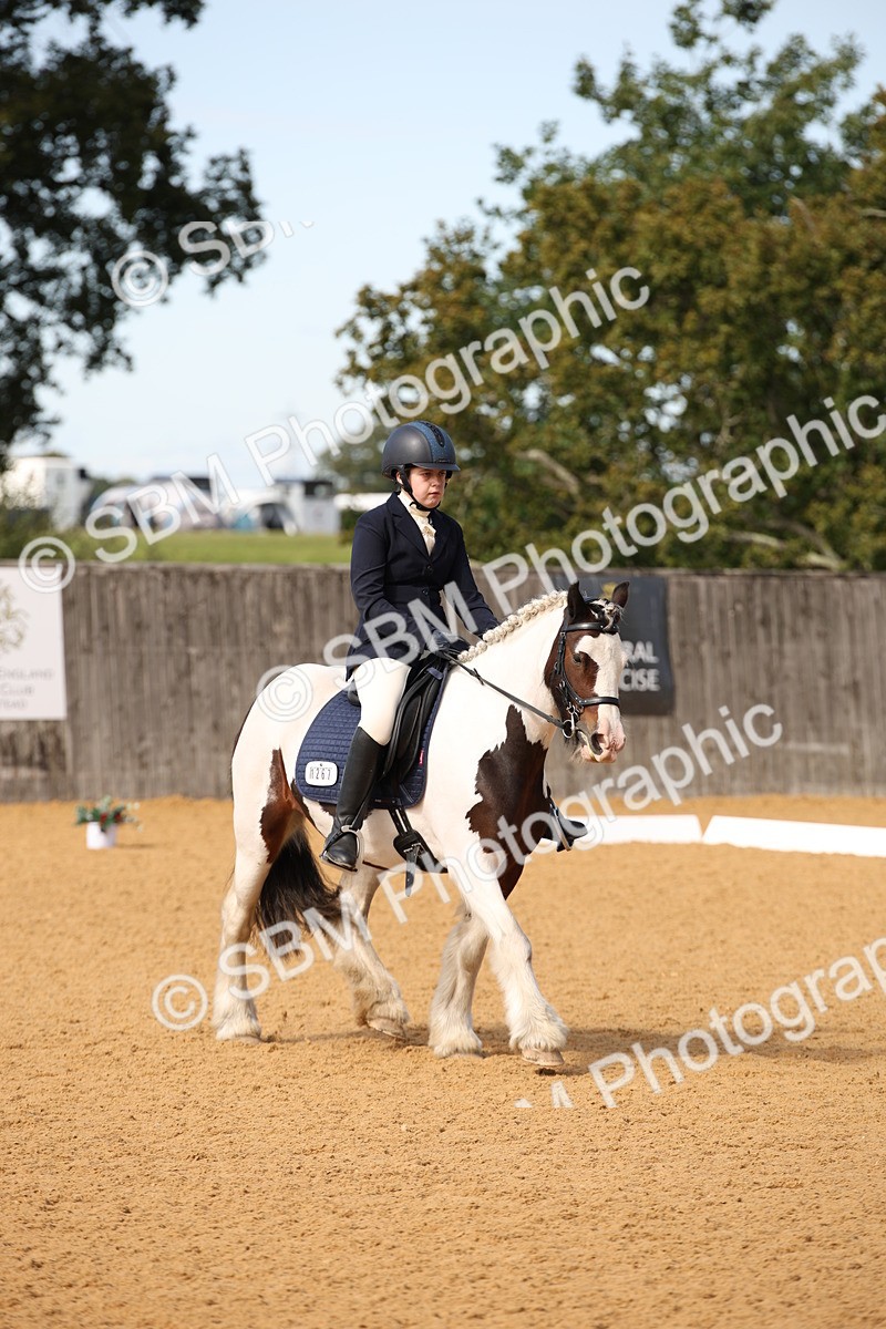 SBM_21776 - D5 - Small Tour Championship - Intro C