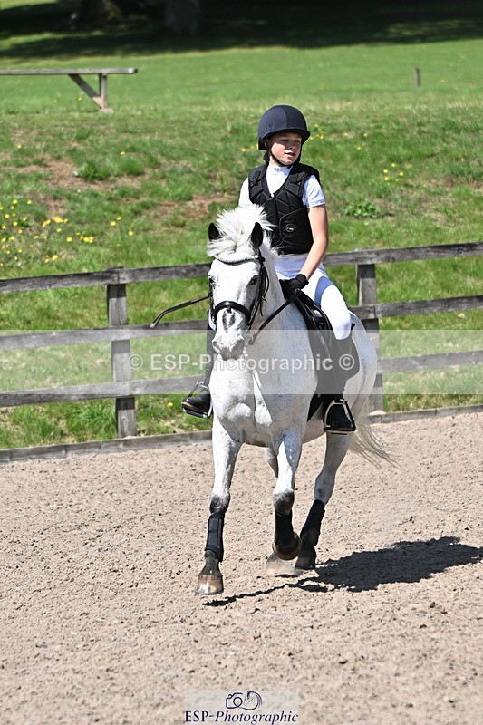 240729B-121804-02630 - Showjumping Competition