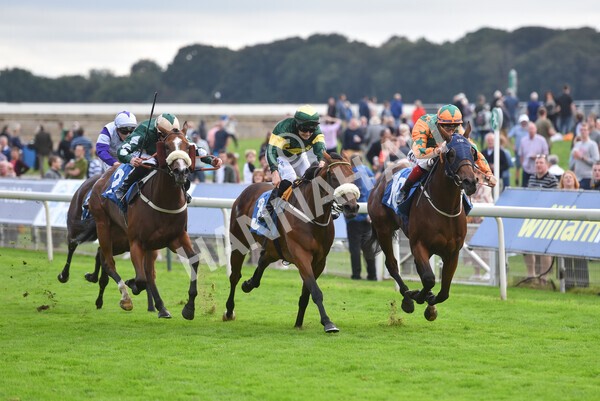 yr24092021r7-46 - Race 7 4.55pm William Hill Free or Four Fillies' Stakes