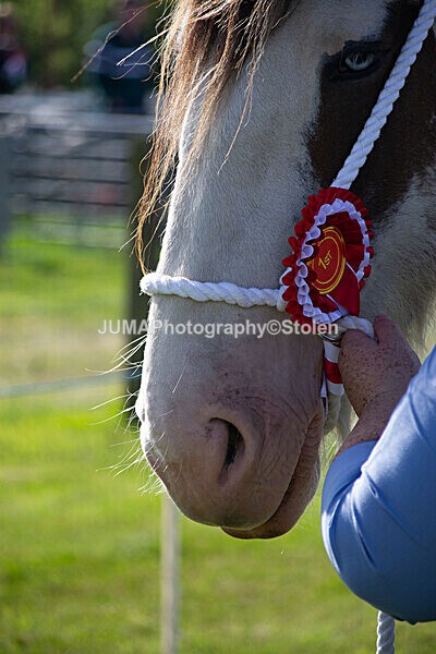 DSC_0076 - Ring 1