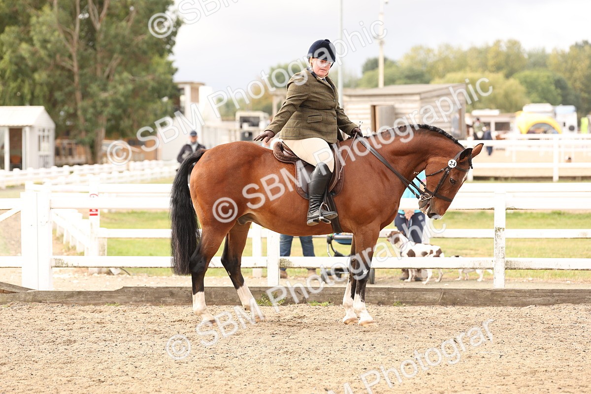 SBM_01605 - Class 52 - Ridden Veteran
