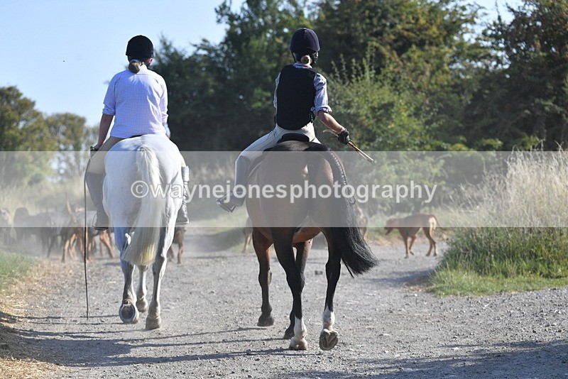 WJ5_4826 - Walk out with the hounds