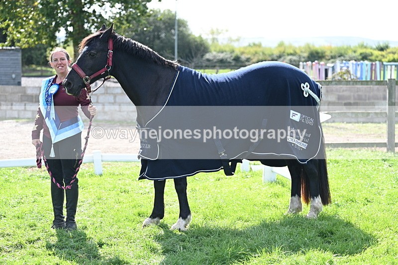 WJ7_1737 - 80cm Champs