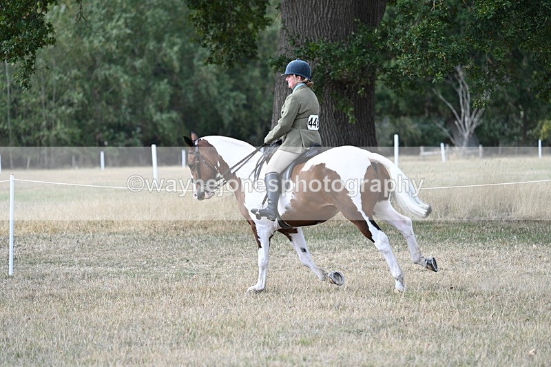 WJ7_7311 - Class 14 Ridden Coloured