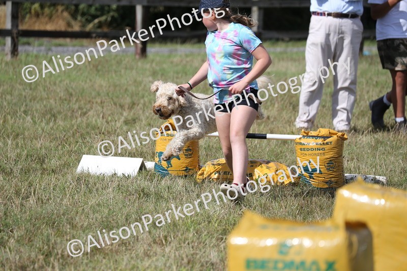 20260906-3433 - Class 34 - Dog Agility