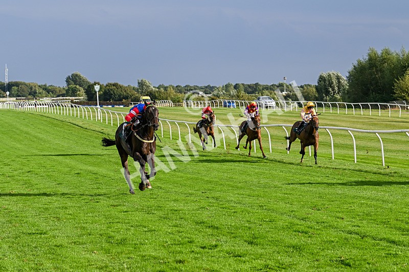 280824-Race 7-Crocodile Power-5070 - Race 7