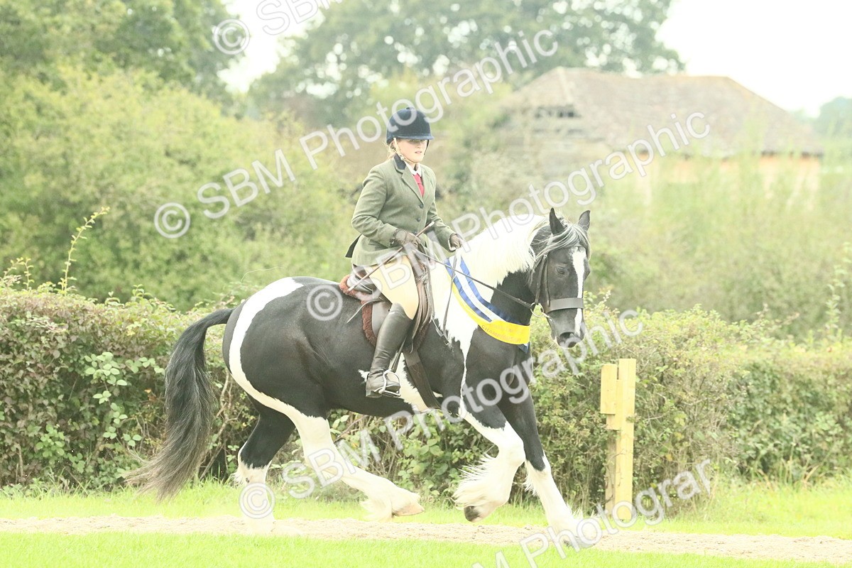 SBM_75159 - Super Supreme Championship