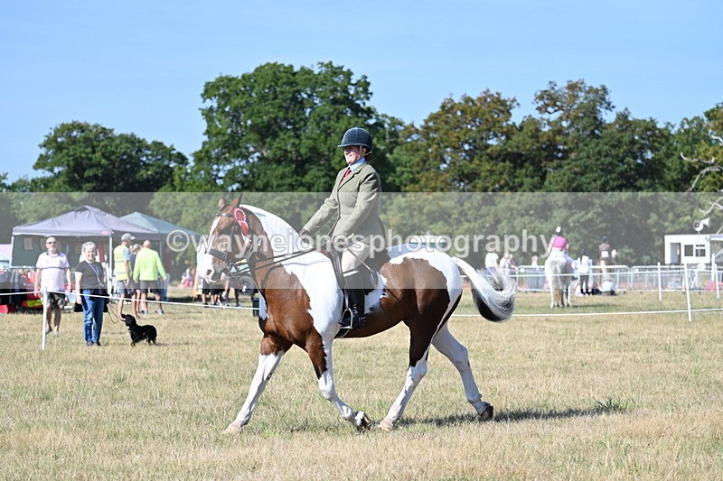 WJ7_3273 - Class 8 Ridden Tack & Turnout