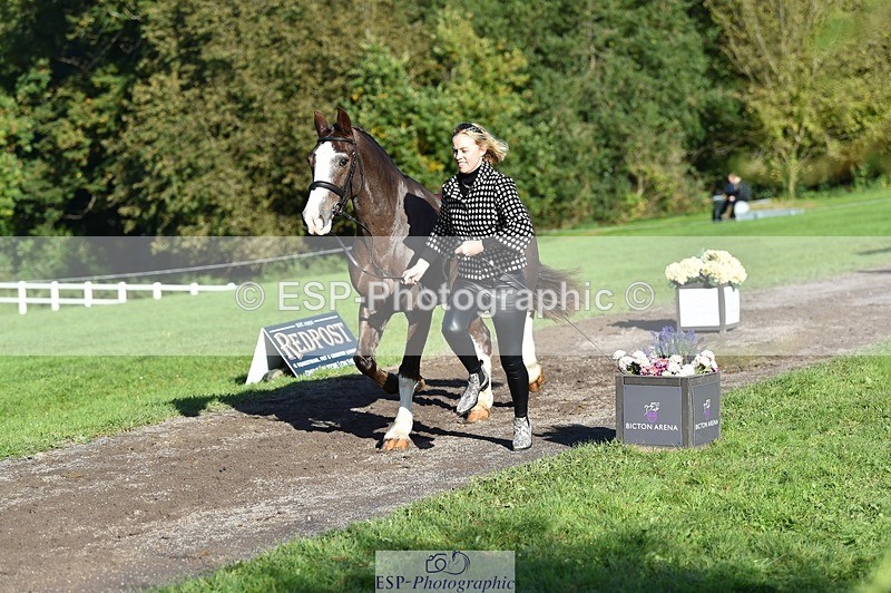 231022-103920-22642 - 440-LODOR.CARL-Katie.Mathias-TrotUp+SJ