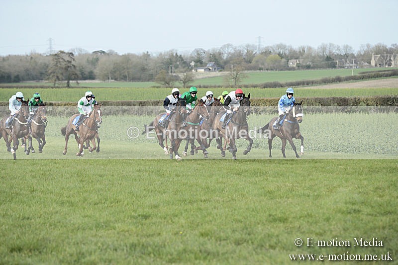 PtP 230319 410 - VWH Hunt Siddington Point-to-Point Racing 23/03/19