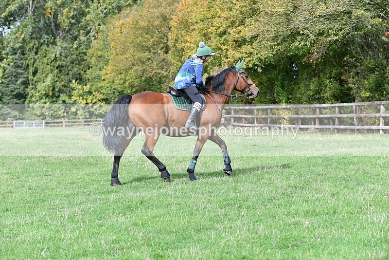 WJ5_9380 - Time 13:03 to 13:25