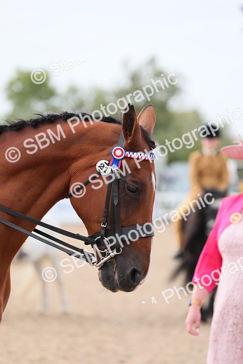 SBM_16954 - Class 314 Family Horse/Pony