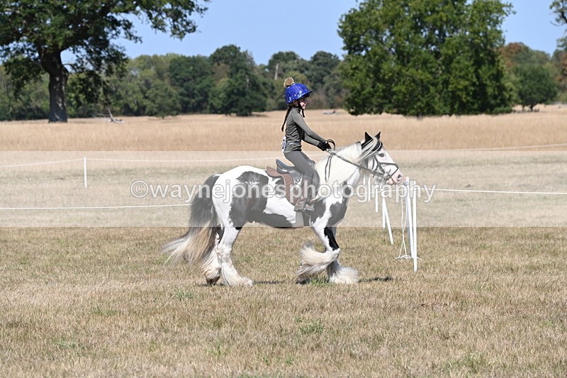 WJ6_8794 - Class 38 Ridden Riding Horse/Pony