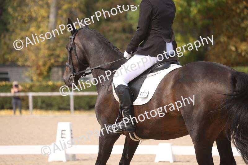 20250819-1516 - Class 4 - Novice 2