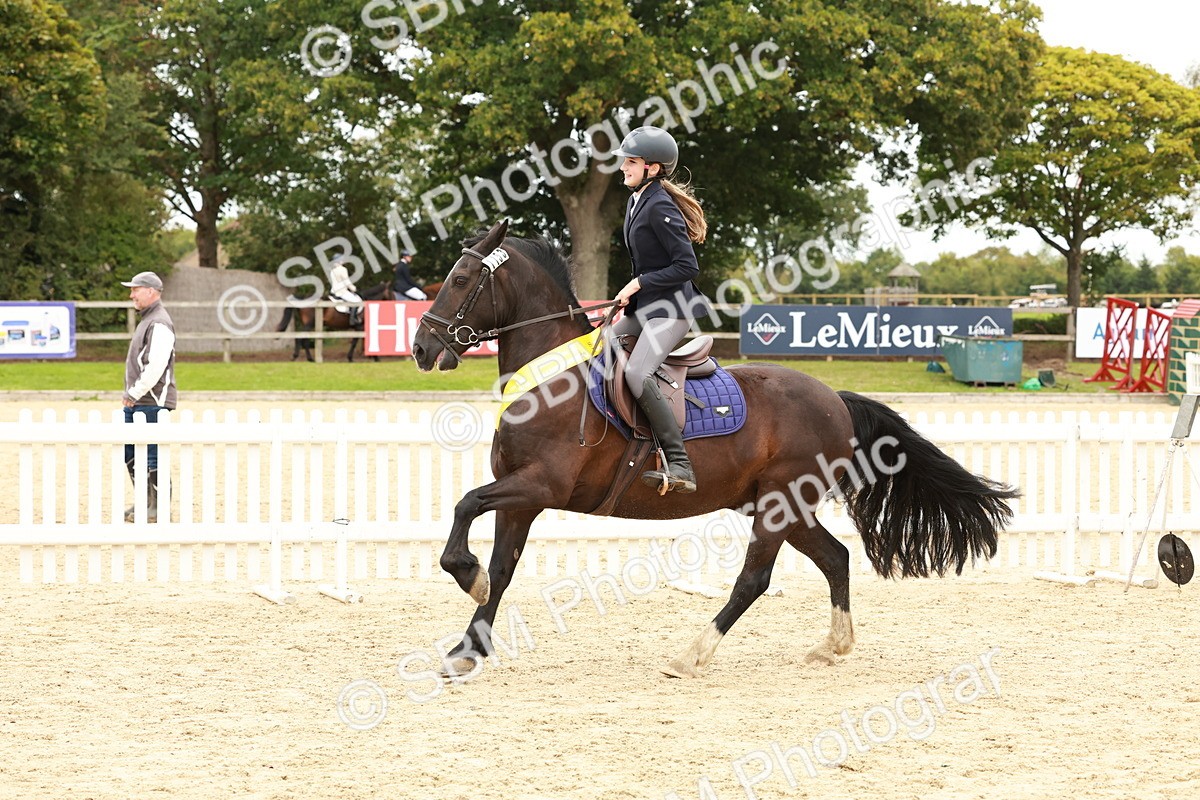 SBM_63935 - J12 - Junior Pony 55cm Championship