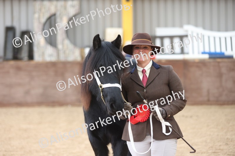 20251109-0862 - Class 25 - Yearling, Colt, Filly or Gelding