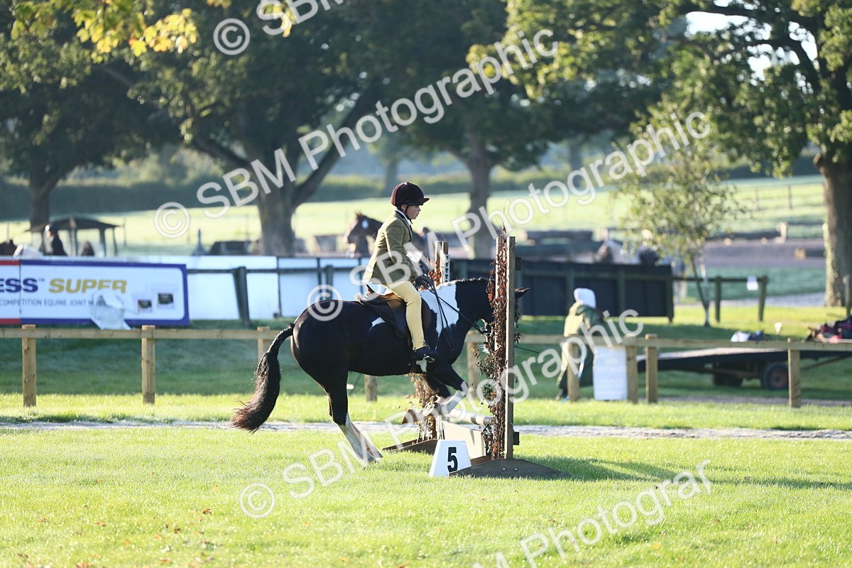 SBM_37189 - S29 - Novice & Newcomers Working Hunter Pony