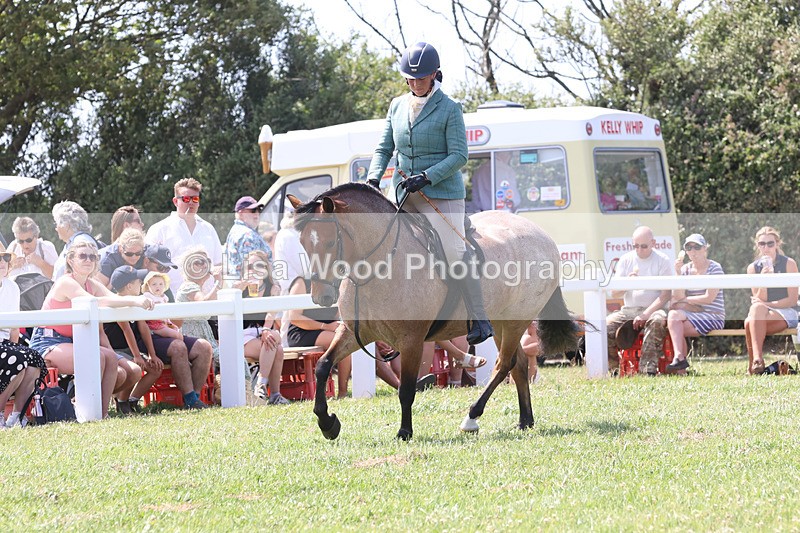 JPP_3330 - Class 22: Working Hunter 70cm
