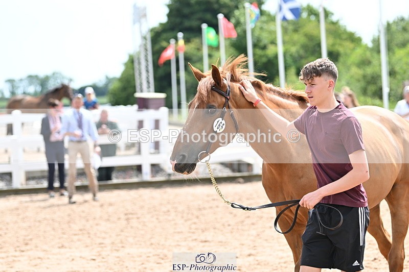 240717A-144519-02264 - Trot Up 2pm to 3pm - This folder is not in time order