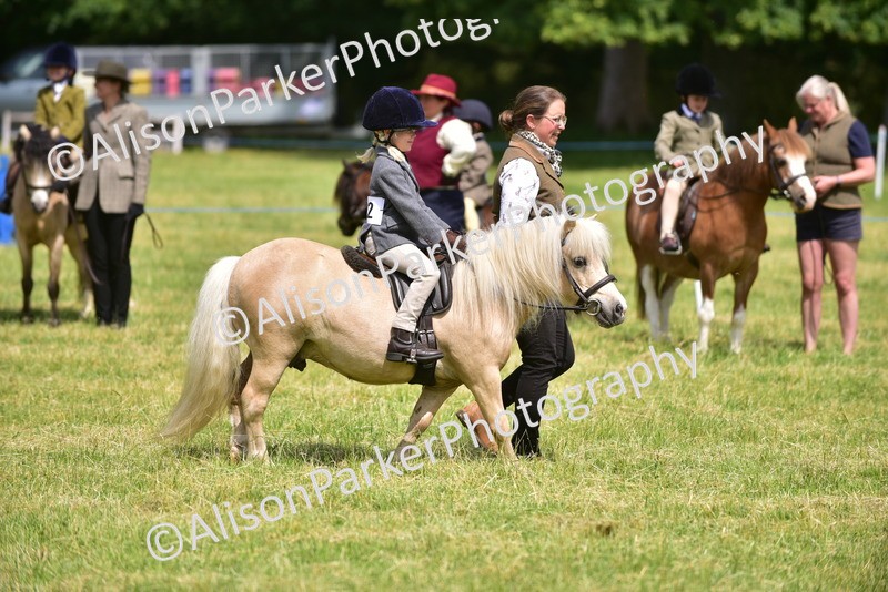 20260614-1277 - Class 11a - Lead Rein Pony (Unplaited)