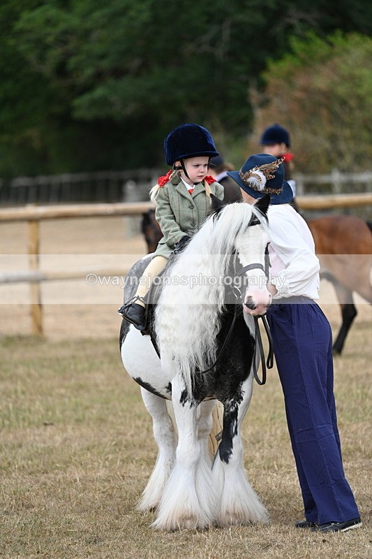 WJ7_6773 - Class 1 Lead Rein Pony