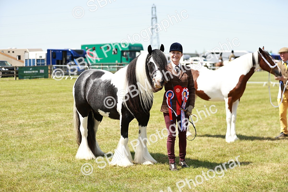 SBM_05525 - Class 41-45 - Riding Pony-Hunter Pony Breeding