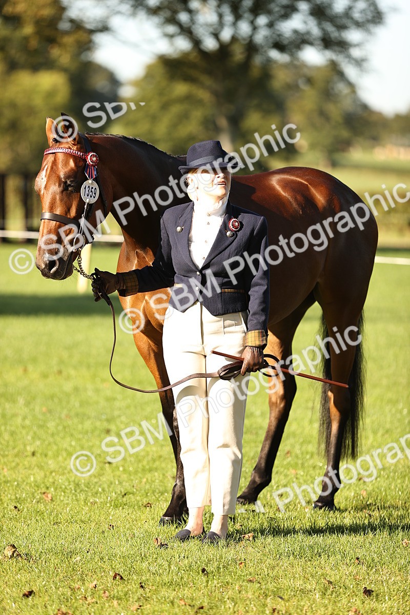 SBM_15720 - S1 - TSR in Hand Horse & Pony Showing