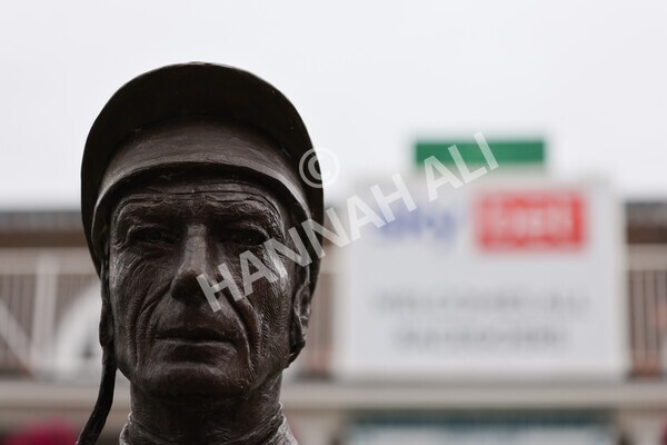 yr22072022r7-4 - Race 7 8.25pm The Sky Bet Go-Racing-In-Yorkshire Summer Festival Stakes