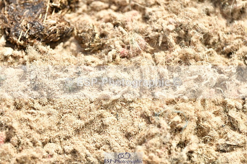 230721A-101619-05060 - Cls 30, 6 Yr Olds 1.20m