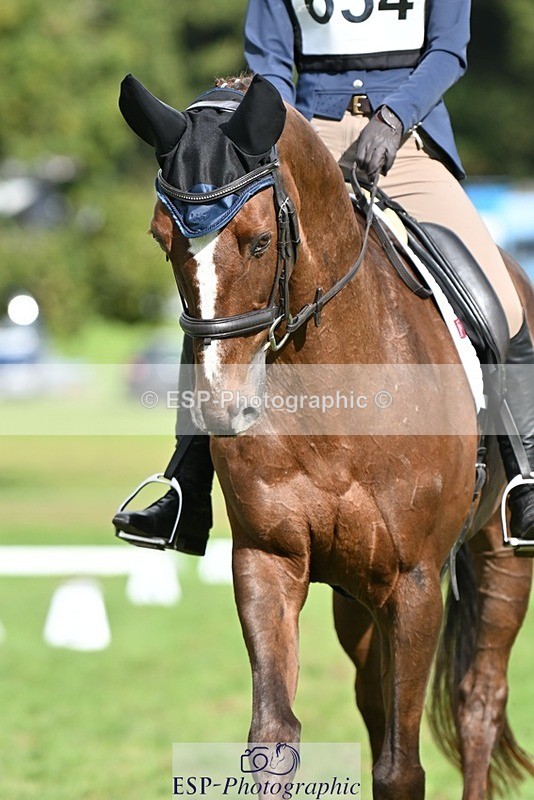 231020-122218-08370 - 654-BERNARD.BLACK-Darci.Barron-DR