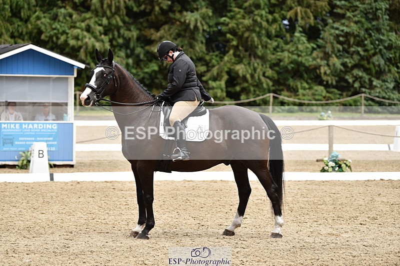 140110A-042314-12130 - 160-Rosey.Bradburn-High.Spirits.II