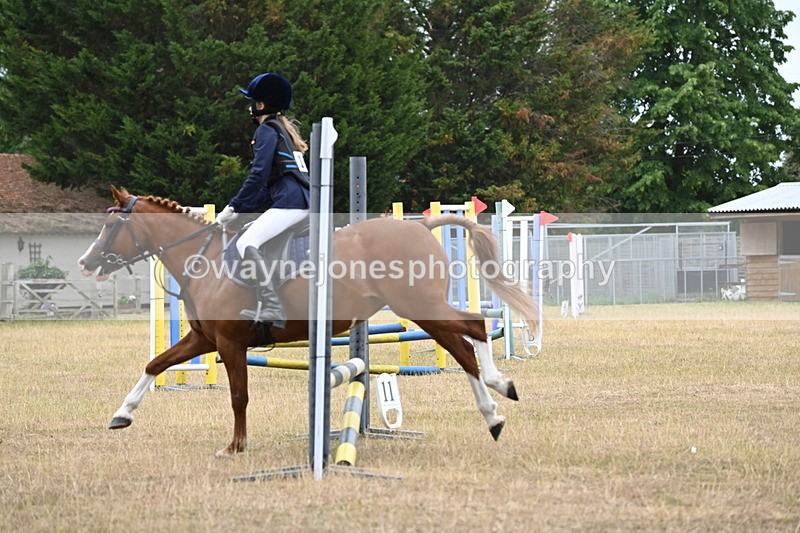 WJ6_0162 - Class 13 Novice Jumping 60cm
