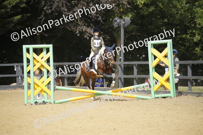 20250622-3774 - 50cm