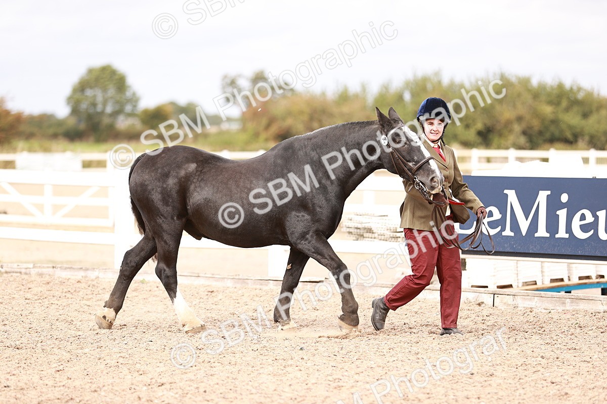 SBM_16297 - Class 413 - Best Condition - Adult