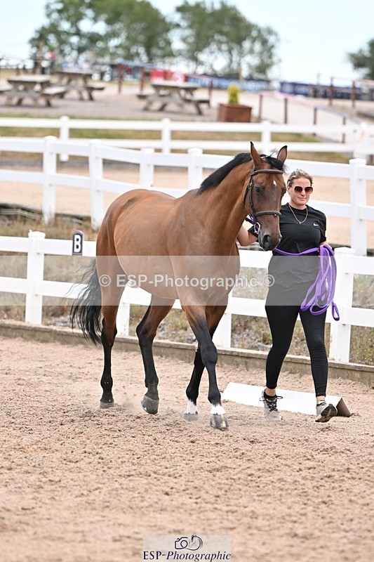 250716-140432-00888 - Trot Up 1.30 to 2.30