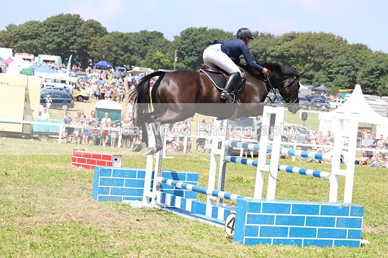 3E7A3379 - Class 10: Senior Foxhunter/1.20 open