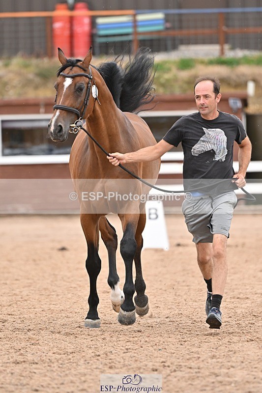 250716-160826-02446 - Trot Up 3.30 to 4.30