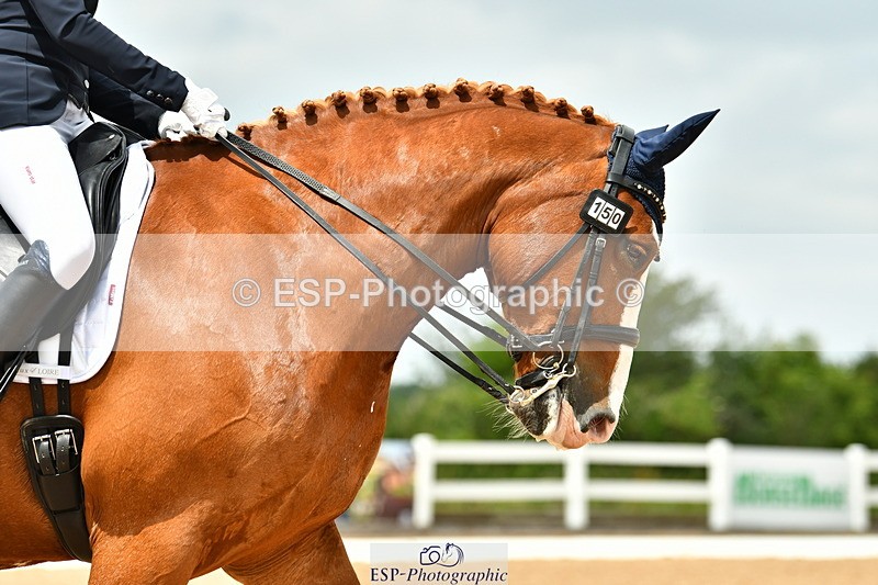 230701A-130009-06194 - Cls 8 Elementary 57