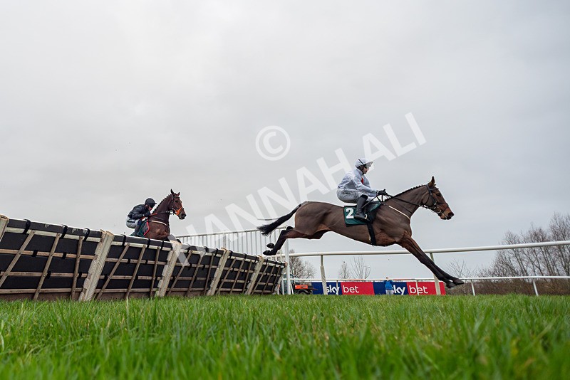 281225-Race 2-Kakas Cousin-7908 - Race 2