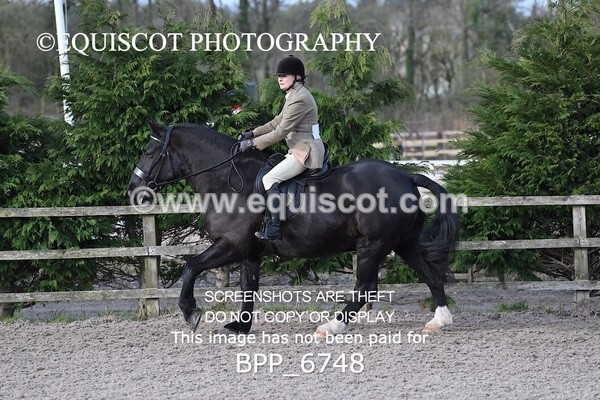 BPP_6748 - RING 1  (RIDDEN HORSES / IN HAND / VETERAN ETC)