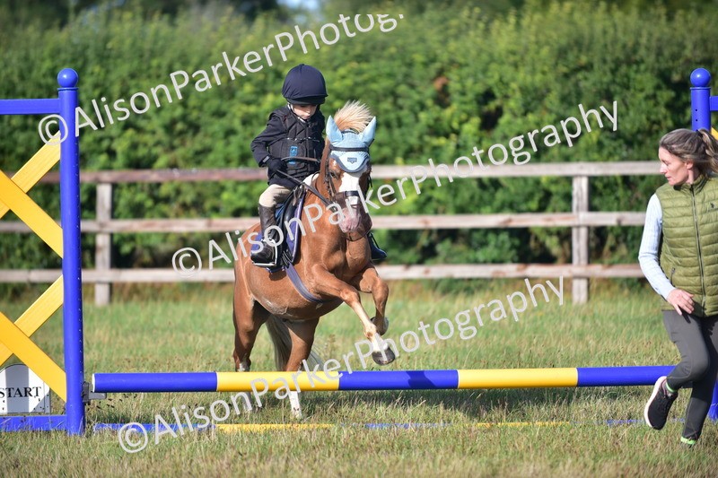 20260906-0463 - Class 6 - Minimus Jumping